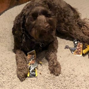 Meet your Posher, Trish